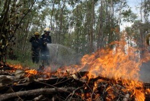 En-Colombia-16-incendios-consumen-cerca-de-500-hectareas-de-vegetacion