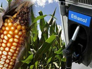 ethanol-maiz