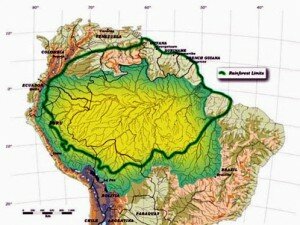 Frente regional amazónico para la emergencia climática