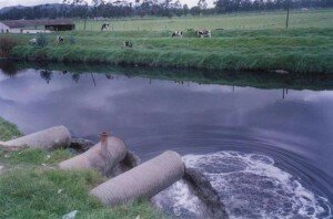 El vertido de aguas residuales tóxicas por parte de la industria textil es común en muchos países