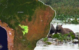 pantanal-paraguay-CA24