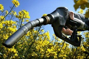 Canal Azul 24 Las consecuencias del uso de biocombustibles