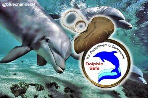 DolphinSafeTuna-blue-channel-24