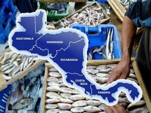 Canal Azul 24 FAO premia a organismo centroamericano por impulsar la pesca responsable