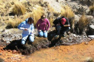 Canal Azul 24 Ingeniería Ecológica resuelve problemas insalubridad del agua en Bolivia
