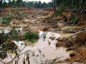Canal Azul 24 Bolivia el más grande impacto en la explotación de oro es la deforestación