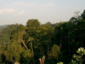 Canal Azul 24 Acuerdo para pago de las reducciones de las emisiones de carbono forestal de Ecuador