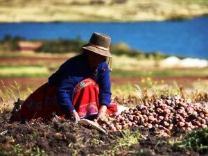 Canal Azul 24 En Guatemala las mujeres se comprometen con la agroecología
