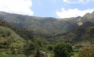Comunidad-Campesina-San-Marcos-Umari