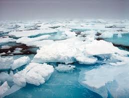cambio climatico-artico-