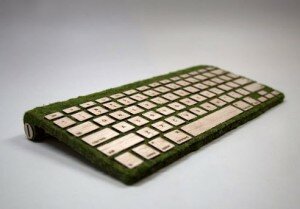 teclado-con-musgo