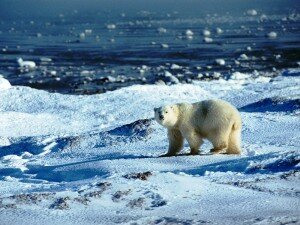 Propuesta científica para recongelar el Ártico para impedir el avance del Calentamiento Global