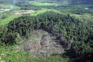 canal-azul-24-amazonas-deforestación