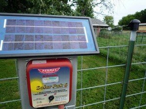 Canal Azul 24 Energía solar apoya a pequeños agricultores y huertos urbanos