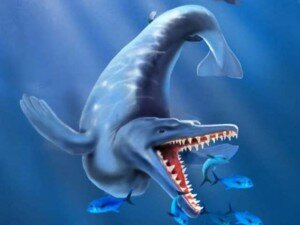 Canal Azul 24 Hallados en Perú los restos fósiles del antepasado de los mamíferos marinos