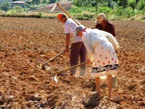 Canal Azul 24 A la zaga en apoyo a agricultura familiar y campesina en República Dominicana