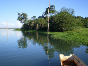Canal Azul 24 Asegurar la tenencia y los medios de vida en el Bosque Atlántico del Paraguay