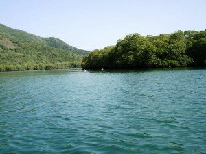 Canal Azul 24 Profundizarán recuperación en áreas marinas y costeras en Venezuela
